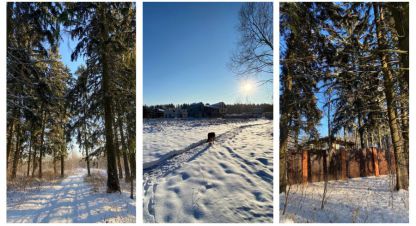 Купить земельный участок в г. Грибово коттеджный пок. Фотография №2