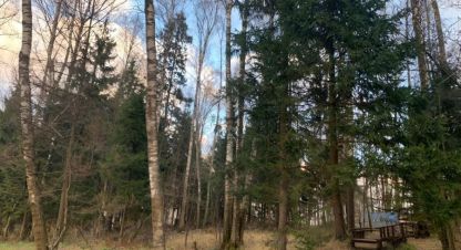 Продам земельный участок, г. Лесные зори коттеджный пок, Московская обл., Россия, агентство Absolute Realty Advisors. Фотография №1