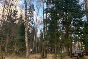 Продам земельный участок, г. Лесные зори коттеджный пок, Московская обл., Россия, агентство Absolute Realty Advisors