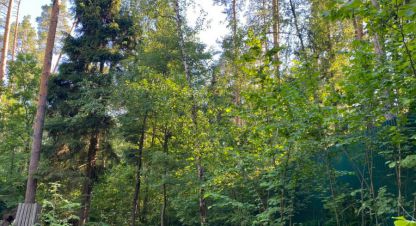 Купить земельный участок в г. Маслово. Фотография №3