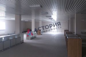 Сдам торговое помещение с общей площадью 1500м2, на улице Иевлевский проезд, г. Богородицк, Тульская обл., Россия, агентство АН Астория