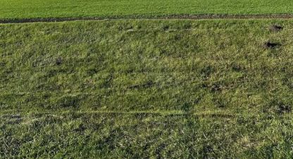 Продам земельный участок, на улице Нова, г. Лошкаровка, Днепропетровская обл., Украина, агентство Aspo.biz. Фотография №1