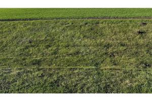 Продам земельный участок, на улице Нова, г. Лошкаровка, Днепропетровская обл., Украина, агентство Aspo.biz