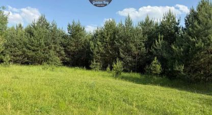 Купить земельный участок в г. Гнедин. Фотография №3