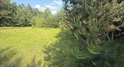 Купить земельный участок в г. Гнедин. Фотография №2