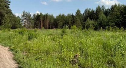 Продаётся земельный участок в г. Гнедин. Фотография №7