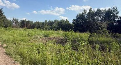 Купить земельный участок на улице Автошлях г. Гнедин. Фотография №5