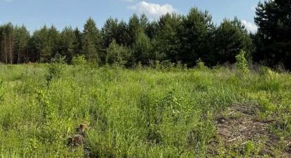 Купить земельный участок, Украина, г. Гнедин. Фотография №8