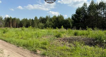 Продаётся земельный участок в г. Гнедин. Фотография №6