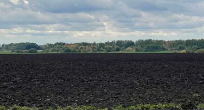 Купить земельный участок на улице Пісківська сільська рада г. Пески. Фотография №4