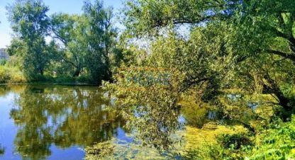Купить земельный участок г. Посёлок шульгино. Фотография №5