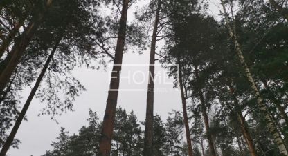 Купить земельный участок в г. Маслово. Фотография №2