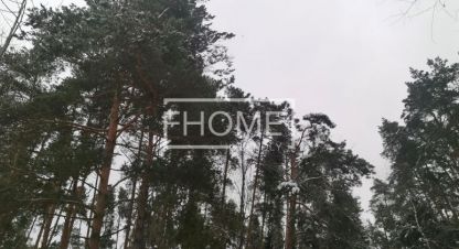 Купить земельный участок в г. Маслово. Фотография №3