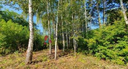 Продаётся земельный участок в г. Маслово с. Фотография №6