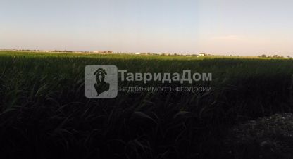 Продам земельный участок, на улице Евпаторийская, Камыши район, г. Феодосия , Крым авт. респ., Россия, агентство ТавридаДом.ру. Фотография №1