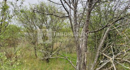Купить дом 4-х комнатную, 80 кв. м., Россия, г. Феодосия . Фотография №9