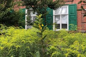 Продам дом с общей площадью 76м2, на улице Самойловская ул, Ленинский район, г. Ростов-на-Дону, Ростовская обл., Россия, агентство Интернет-партнер