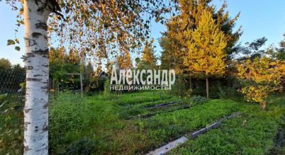 Продаётся 5-ти комнатная дом в г. Массив мшинская. Фотография №6