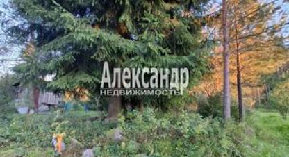 Продаётся дом в г. Массив мшинская. Фотография №7