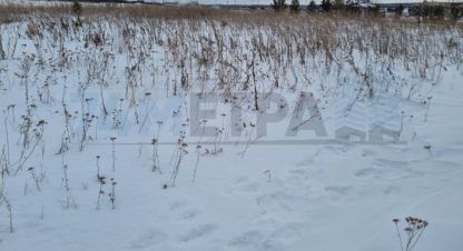 Купить земельный участок в г. Ключи. Фотография №3