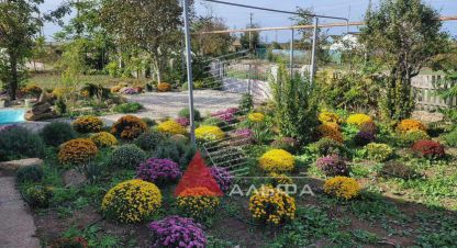 Купить 3-х комнатную дом на улице Южная г. Березовка. Фотография №4