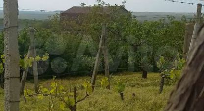 Купить земельный участок в г. Солнечное. Фотография №3