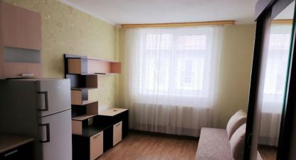 Купить 1 комнатную квартиру в г. Голубево. Фотография №2