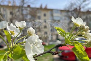 Продам квартиру 2-х комнатную с общей площадью 45.2м2, 2/5 эт., на улице Генерала Острякова, г. Севастополь, Крым авт. респ., Россия, агентство ООО Ренессанс Крым