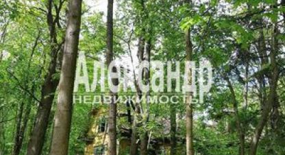 Купить 7-ти комнатную дом в г. Зеленогорск. Фотография №2
