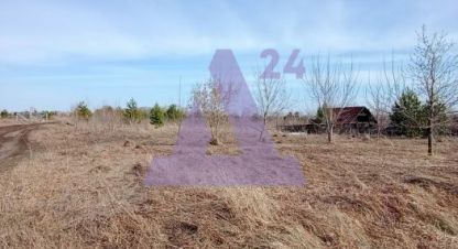 Купить земельный участок в г. Новый. Фотография №3