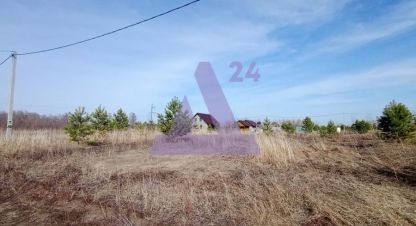 Купить земельный участок в г. Новый. Фотография №2