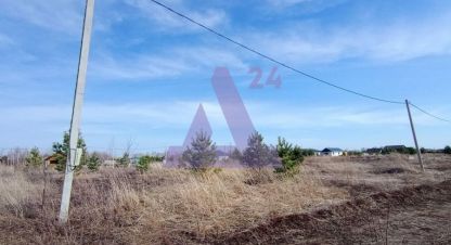 Купить земельный участок в г. Новый. Фотография №3