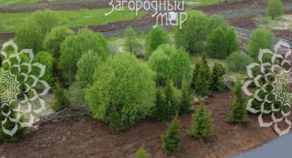 Купить земельный участок в г. Ефимоново. Фотография №3