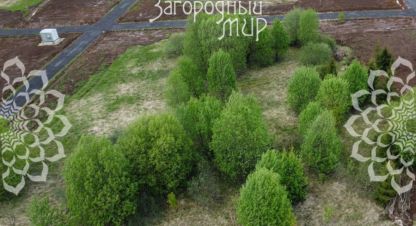 Купить земельный участок, Россия, г. Ефимоново. Фотография №8