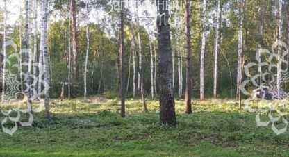 Продам земельный участок, г. Селищи, Тверская обл., Россия, агентство АН Загородный Мир . Фотография №1