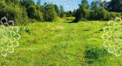 Купить земельный участок в г. Головино. Фотография №3