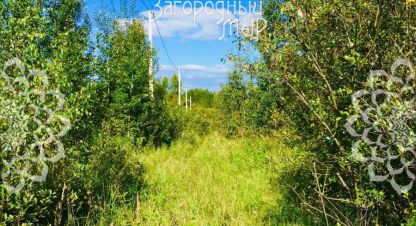 Купить земельный участок на улице Тверская г. Головино. Фотография №4
