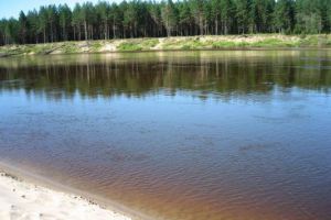 Продам земельный участок, г. Большая микриха, Нижегородская обл., Россия, агентство Интернет-партнер