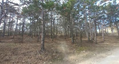 Продаётся земельный участок в г. Ст полёт. Фотография №6
