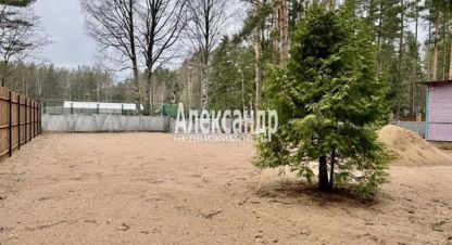 Купить земельный участок в г. Пески. Фотография №3