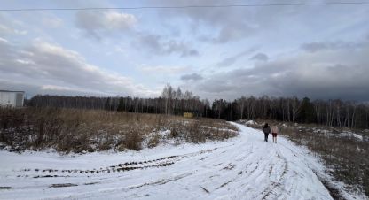 Купить земельный участок на улице Сосновая г. Семиозерка с. Фотография №4