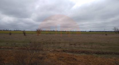 Купить земельный участок в г. Червоное. Фотография №2