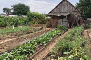 Продам земельный участок, на улице Параллельная, г. Червоное, Крым авт. респ., Россия, агентство СитиДом