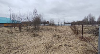 Купить земельный участок на улице Березовая г. Оршанка. Фотография №4