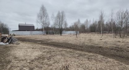 Купить земельный участок на улице Березовая г. Оршанка. Фотография №5