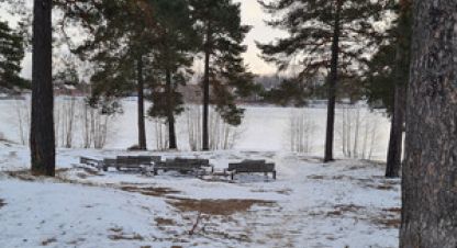 Купить торговое помещение в г. Сурок. Фотография №2
