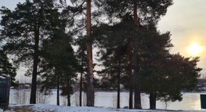 Купить торговое помещение на улице Песчаная ул г. Сурок. Фотография №5