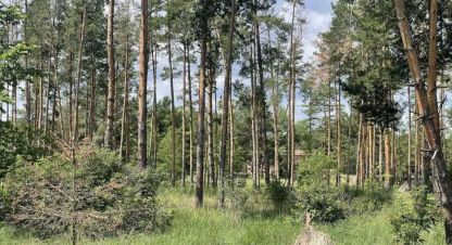 Купить земельный участок в г. Лебедевка. Фотография №3