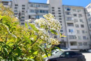 Продам квартиру 1 комнатную с общей площадью 32.1м2, 5/7 эт., на улице Генерала Острякова, г. Севастополь, Крым авт. респ., Россия, агентство ООО Ренессанс Крым