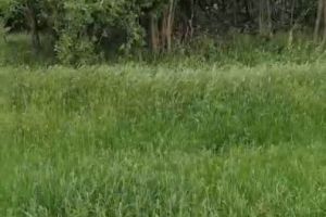 Продам дом с общей площадью 37.5м2, на улице 40 лет победы, г. Хутор хлебодаровский, Краснодарский край, Россия, агентство Агентство недвижимости СДЕЛКА